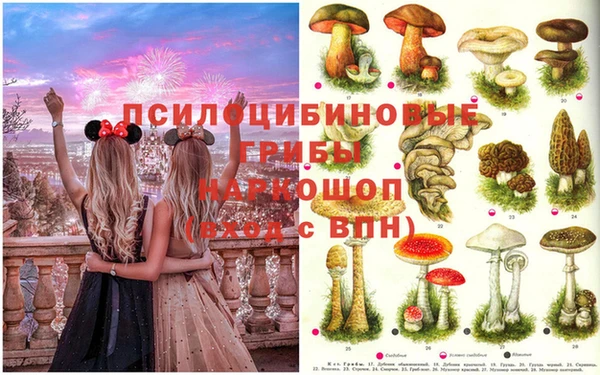 трава Абаза