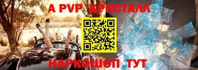 a pvp Обь