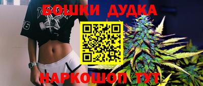 a pvp Обь