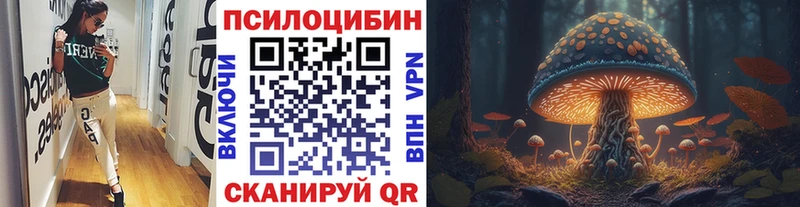 Галлюциногенные грибы Psilocybine cubensis Арсеньев
