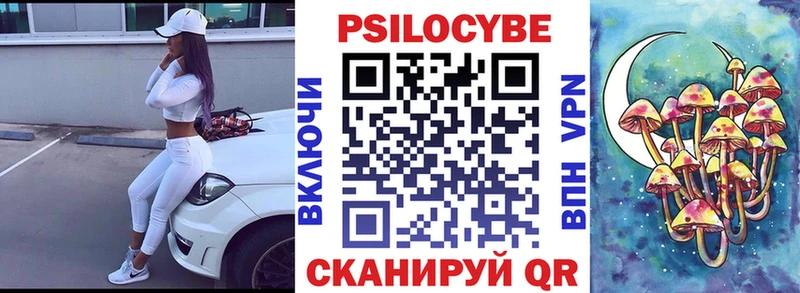 Псилоцибиновые грибы Psilocybe  Арсеньев 