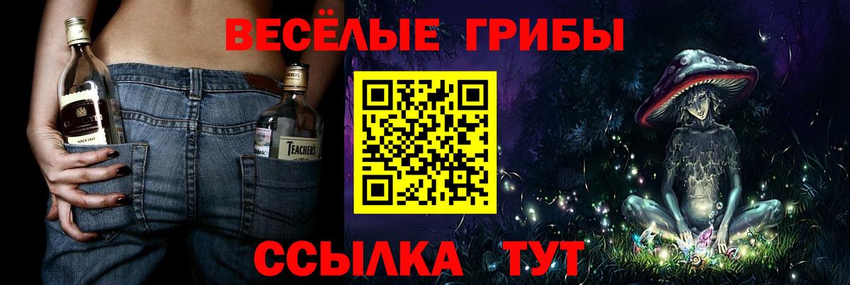 Арсеньев  Галлюциногенные грибы GOLDEN TEACHER  Вход с VPN 