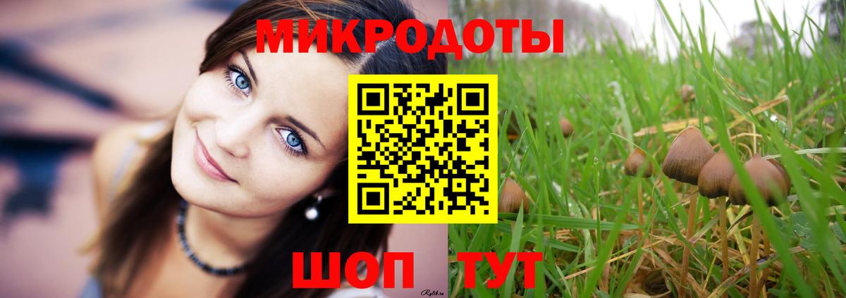 Псилоцибиновые грибы ЛСД Арсеньев